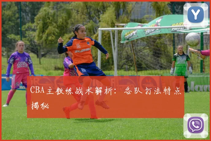 CBA主教练战术解析：各队打法特点揭秘
