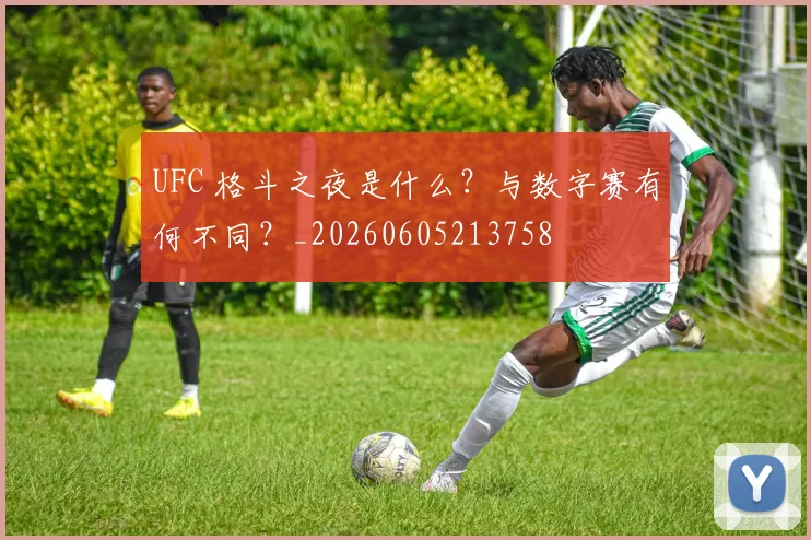 UFC 格斗之夜是什么?与数字赛有何不同?_20260605213758